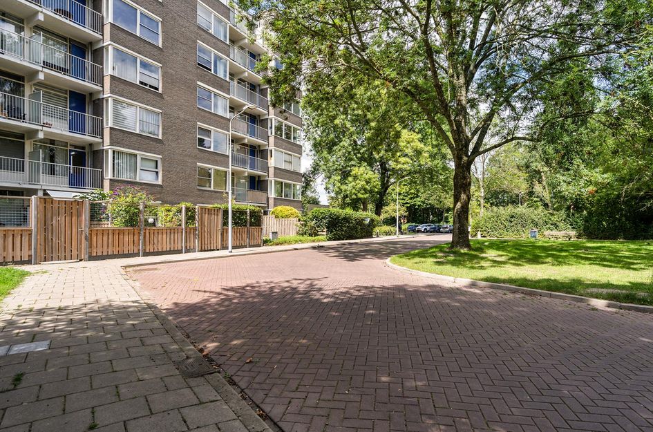 Graan voor Visch 17237