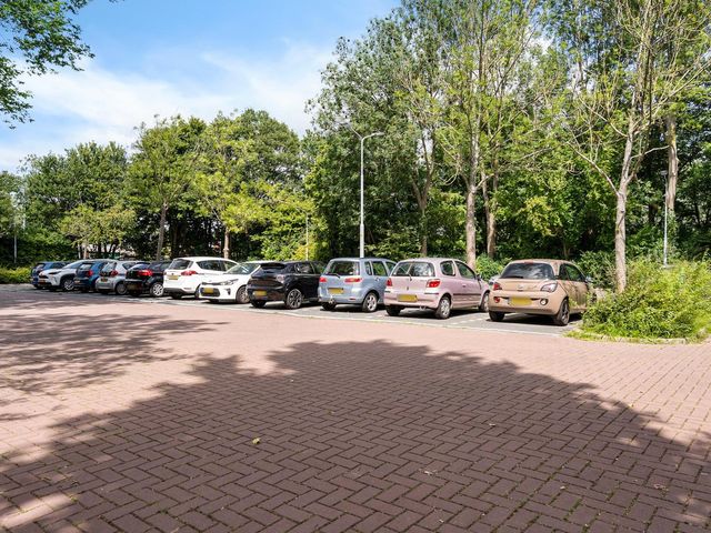 Graan voor Visch 17237, Hoofddorp