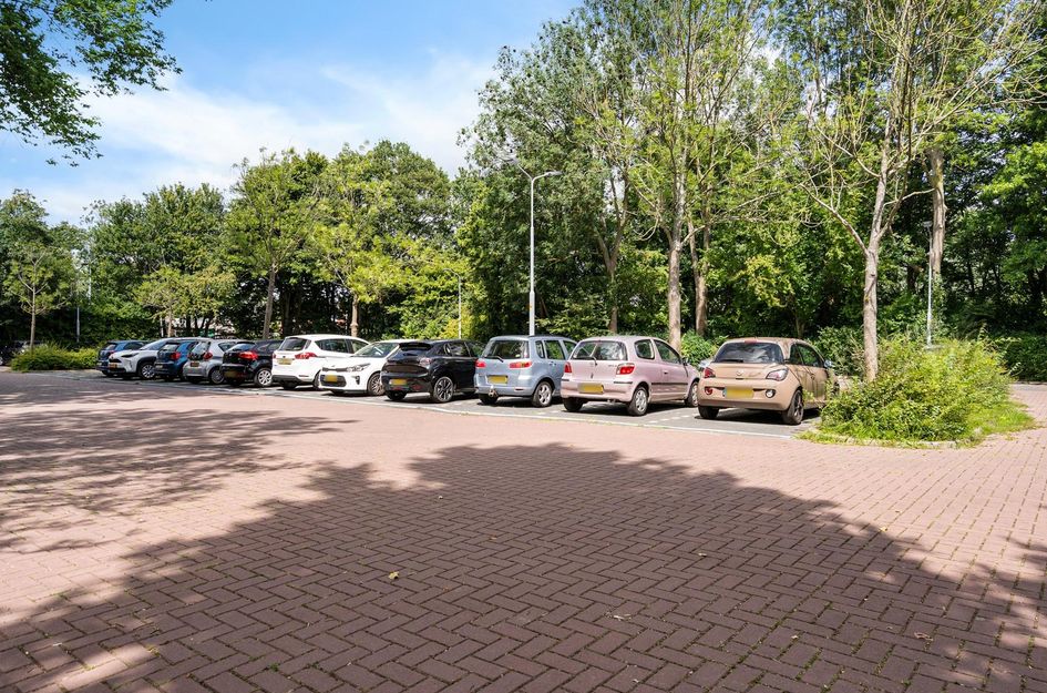 Graan voor Visch 17237
