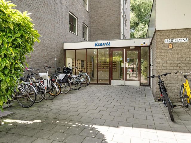 Graan voor Visch 17237, Hoofddorp