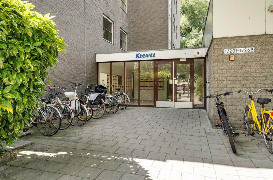 Graan voor Visch 17237