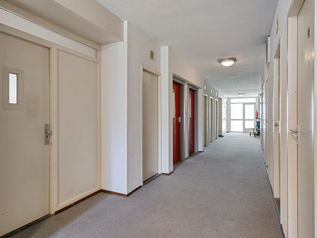Graan voor Visch 17237, Hoofddorp