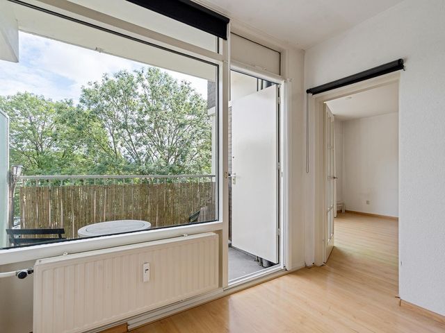 Graan voor Visch 17237, Hoofddorp