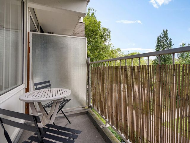 Graan voor Visch 17237, Hoofddorp
