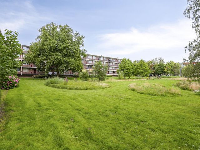 van der Werffstraat 278, Vlaardingen