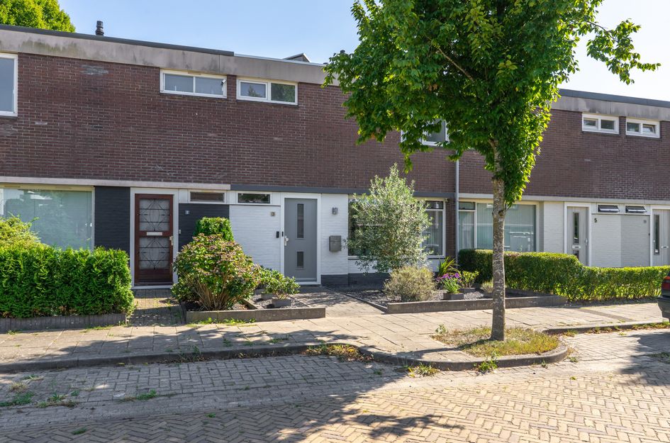Hoeckelumstraat 3