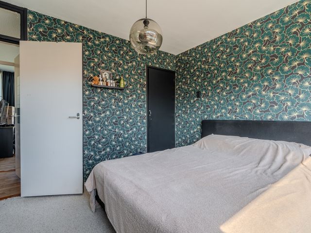 Prunuslaan 24, Nieuwolda