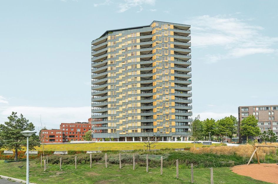 Ecuplein 65