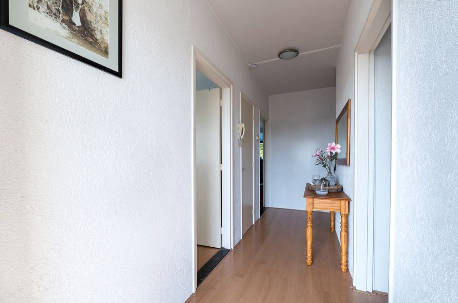 Biesboschlaan 38