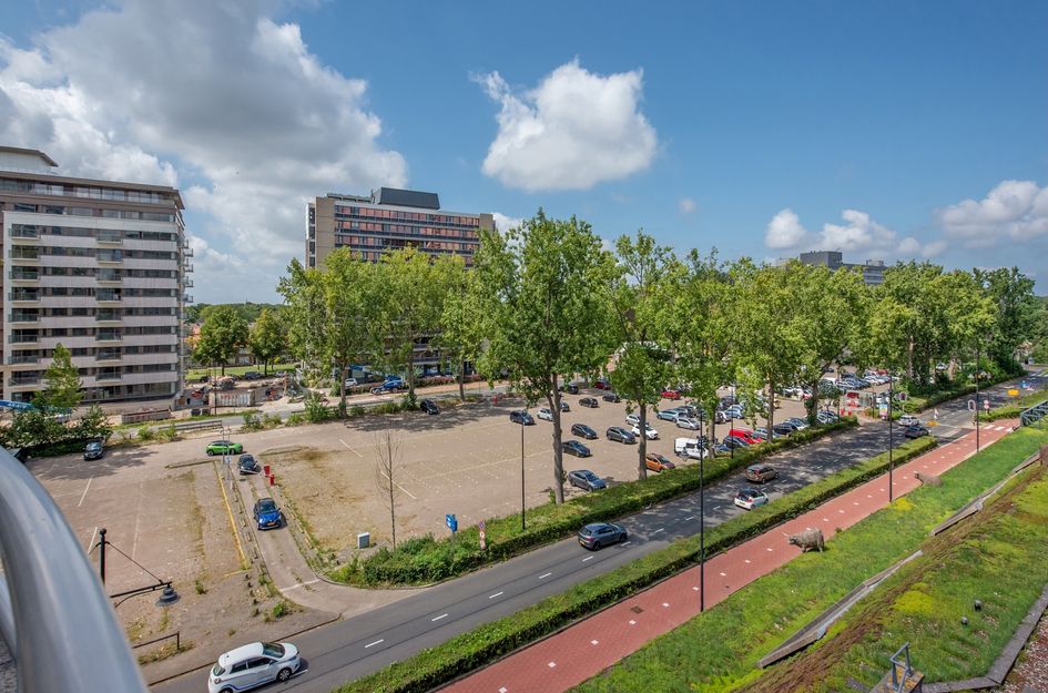 Bogaardplein 62