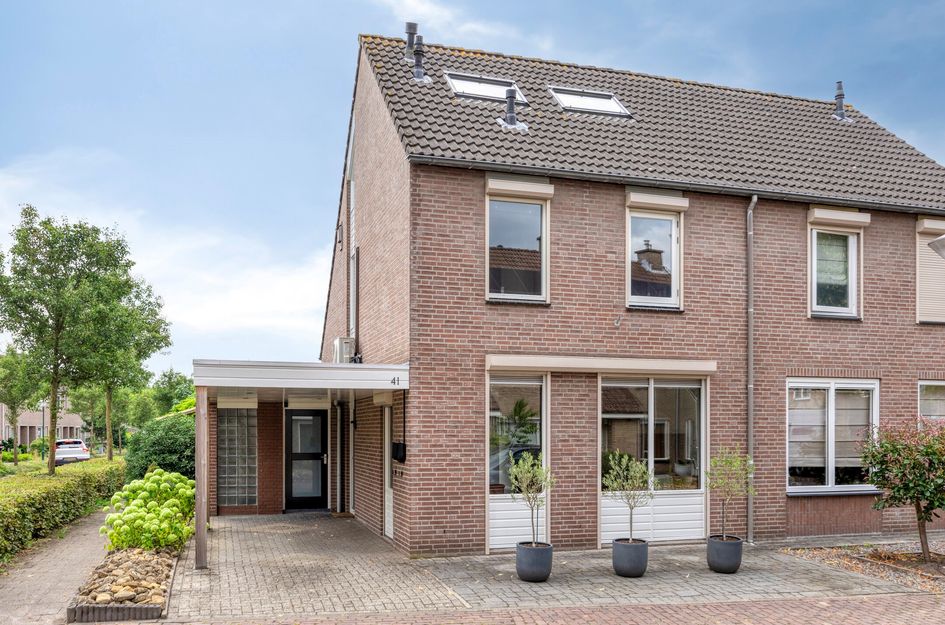 De Zeis 41