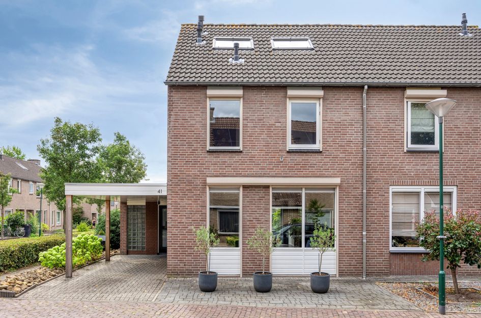 De Zeis 41