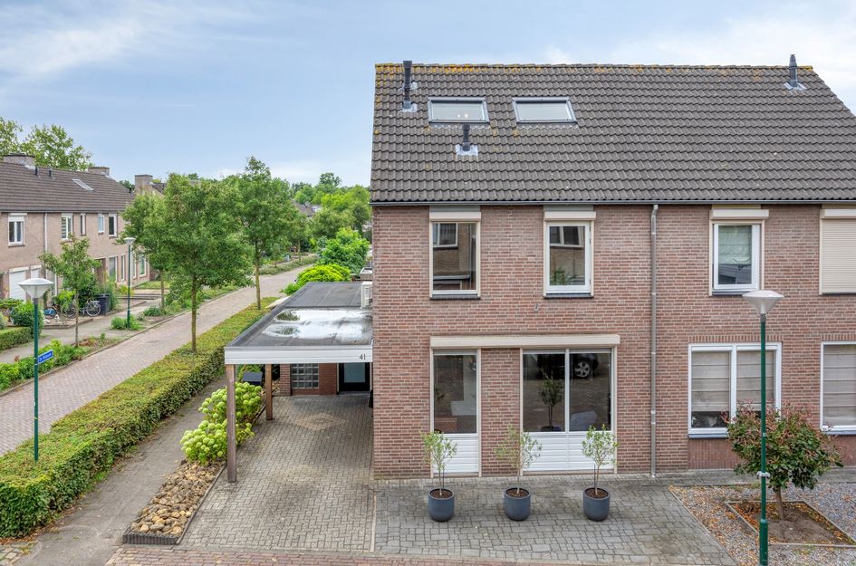 De Zeis 41