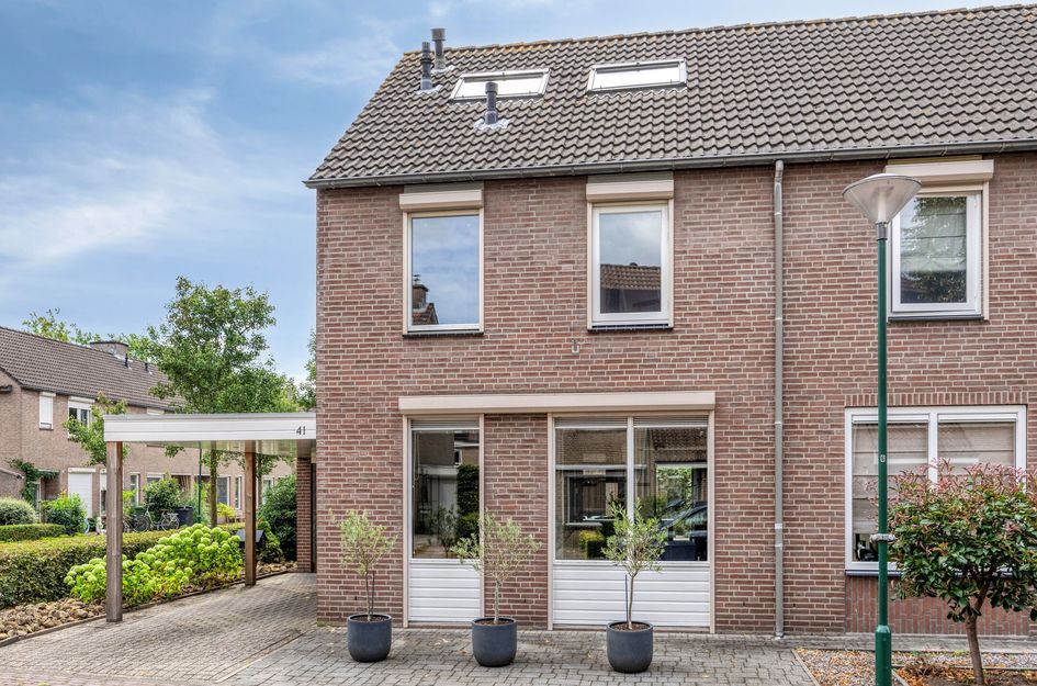De Zeis 41