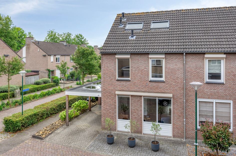 De Zeis 41