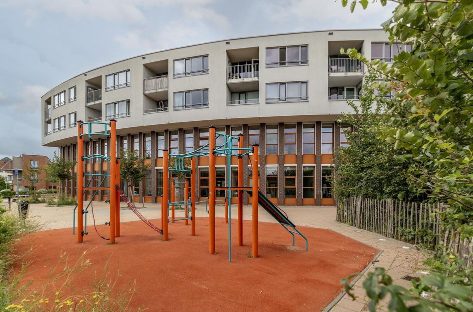 Iepenwede 42