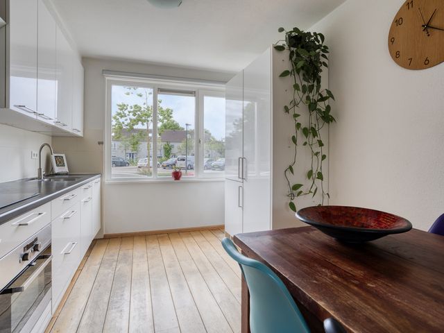 Rie Cramerlaan 3, Leiden