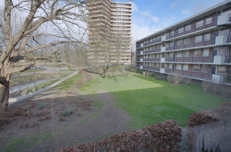 Thorbeckestraat 334