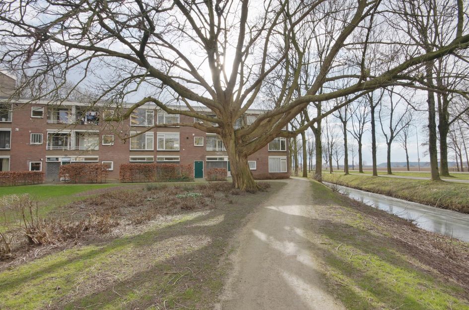 Thorbeckestraat 334