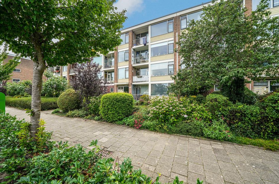 Gerard Doustraat 65