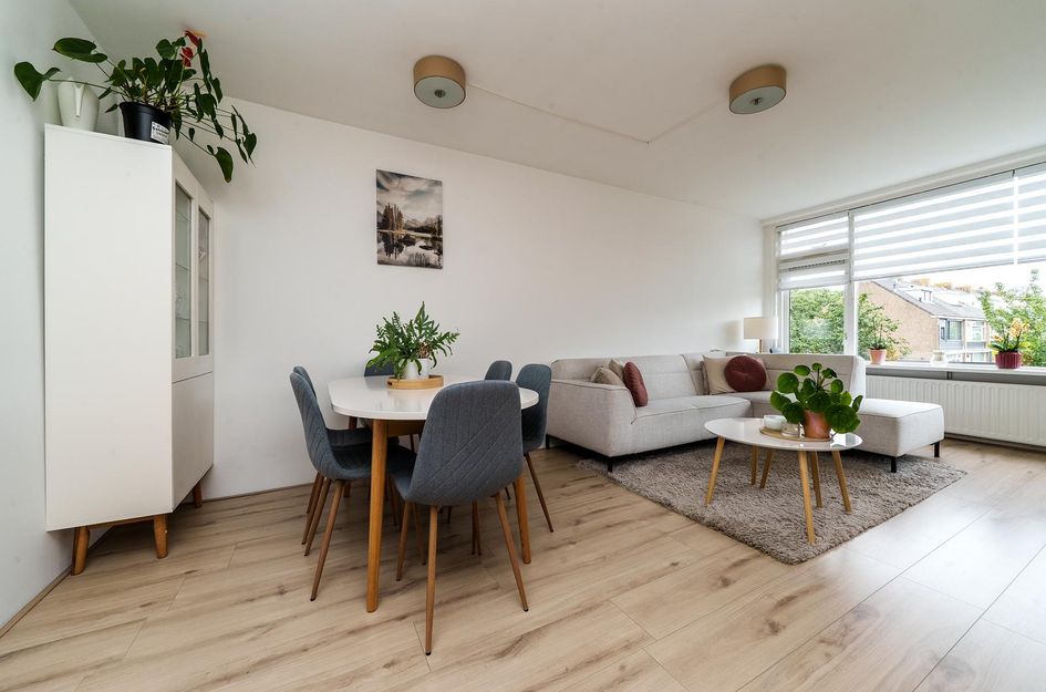 Gerard Doustraat 65