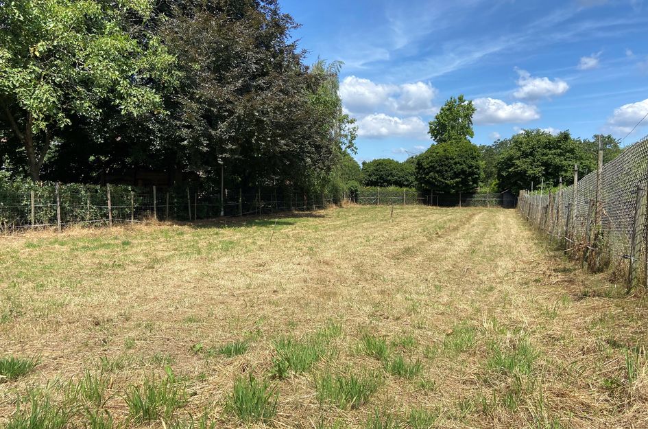 Kempweg 3
