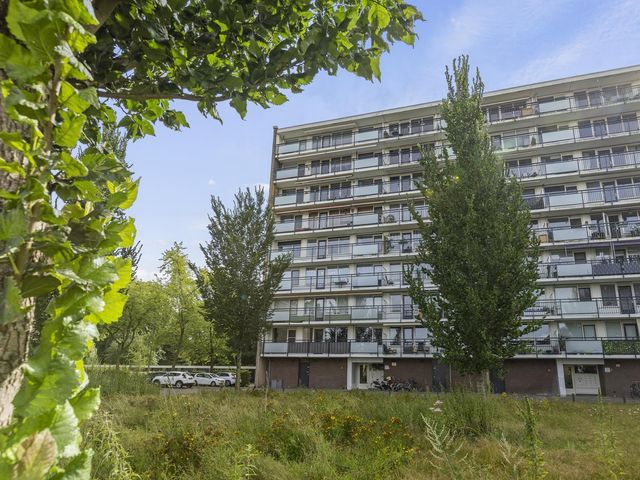 Trekvogelweg 299, Amersfoort