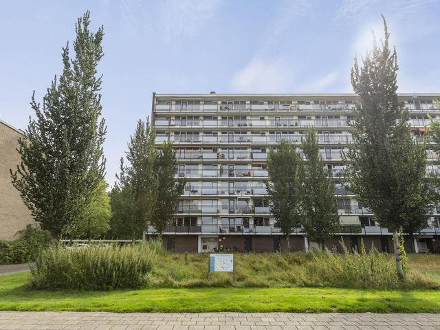 Trekvogelweg 299, Amersfoort