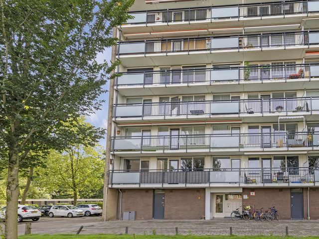 Trekvogelweg 299, Amersfoort