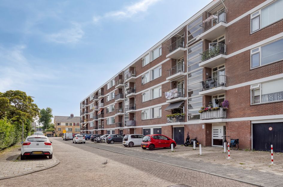 Troelstrastraat 46