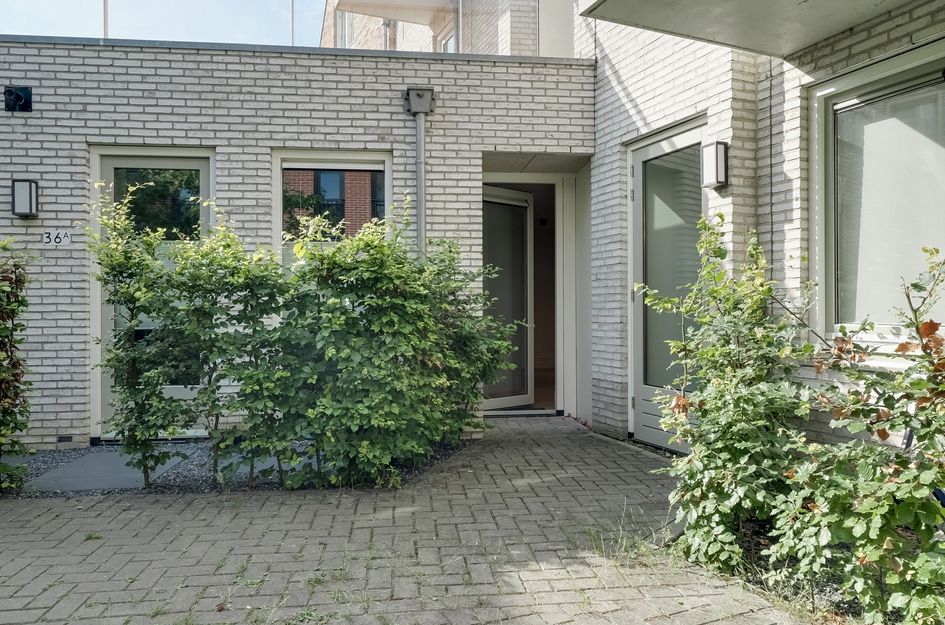 Nieuwe Noord 36