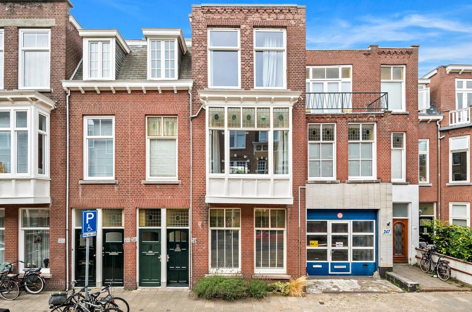 Van Aerssenstraat 249
