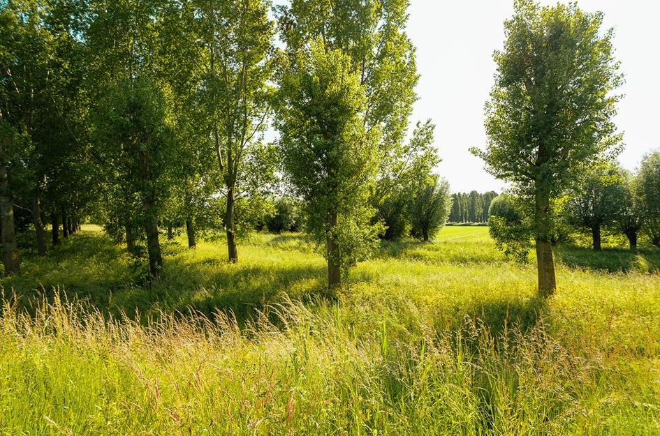 Beeckendael 26