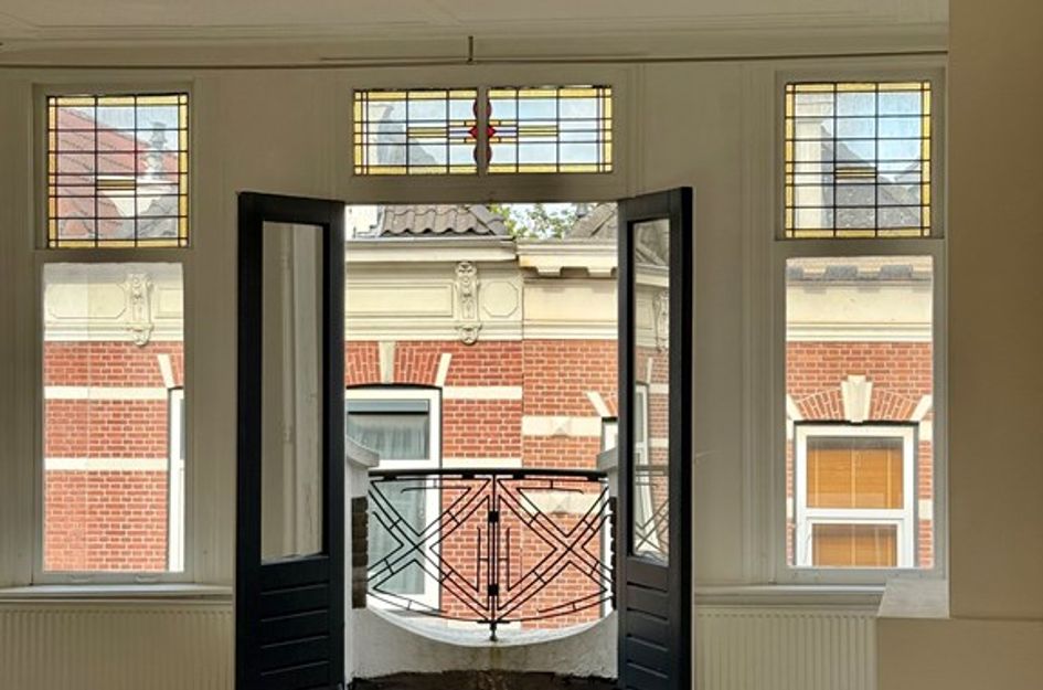 Zwaanshals 264B02