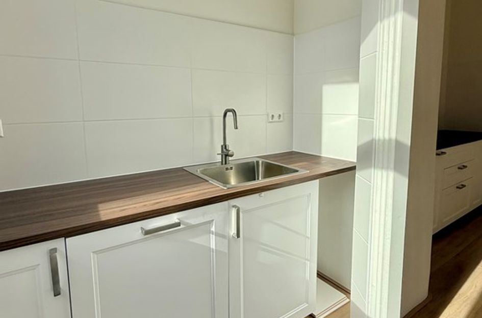 Zwaanshals 264B02