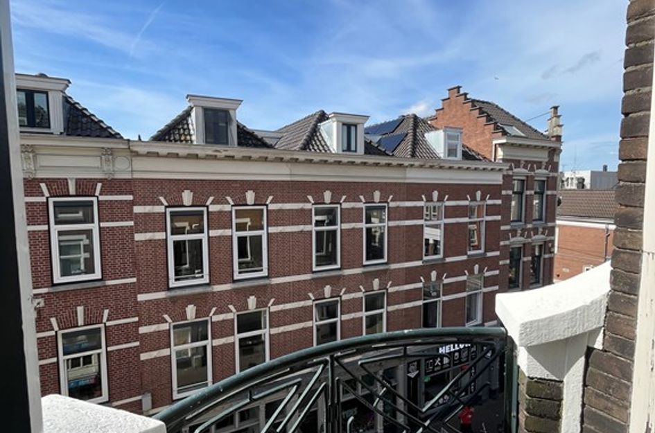 Zwaanshals 264B02