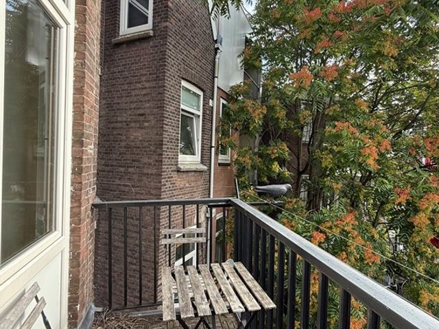 Zwaanshals 264B02, Rotterdam