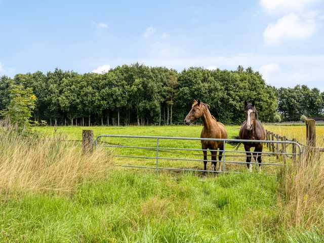 Schildwolderdijk 99, Schildwolde
