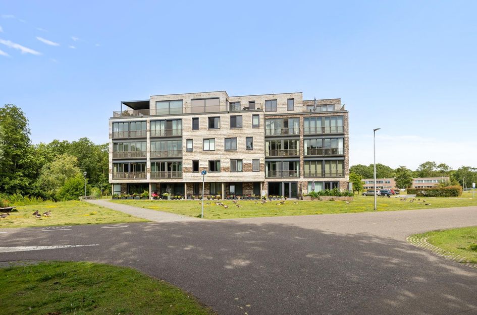 Eikenhout 333