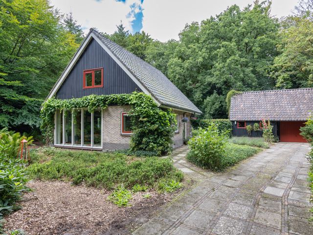 Enkhuizerlaan 6A, Rijs