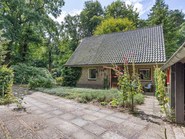 Enkhuizerlaan 6A, Rijs