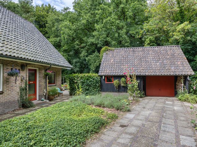 Enkhuizerlaan 6A, Rijs