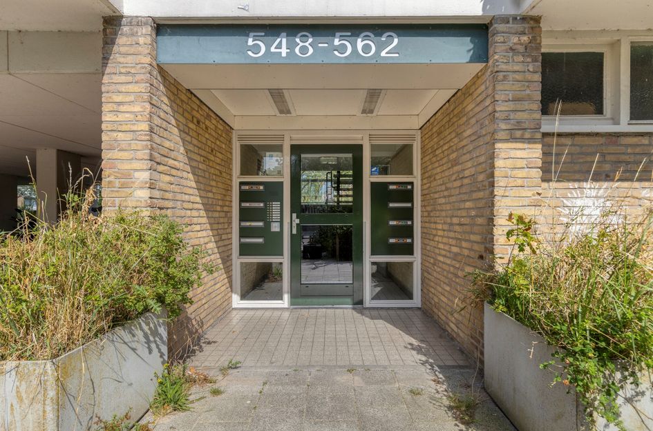 Bachstraat 556
