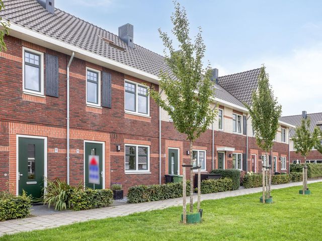 Weegbree 35, Zetten