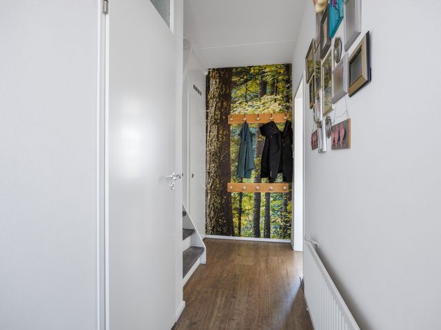 De Lysterfanger 5, Oudemirdum