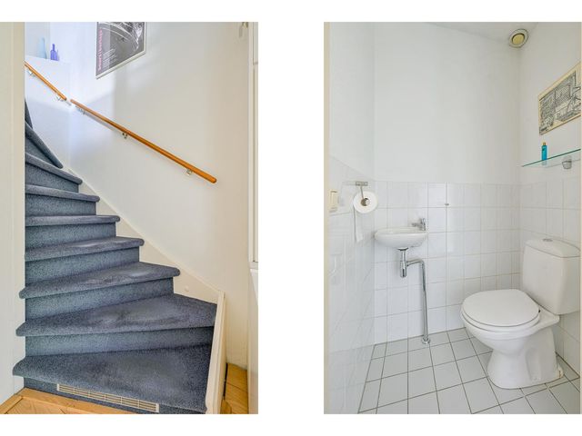 Keizerfazant 21, Heerhugowaard