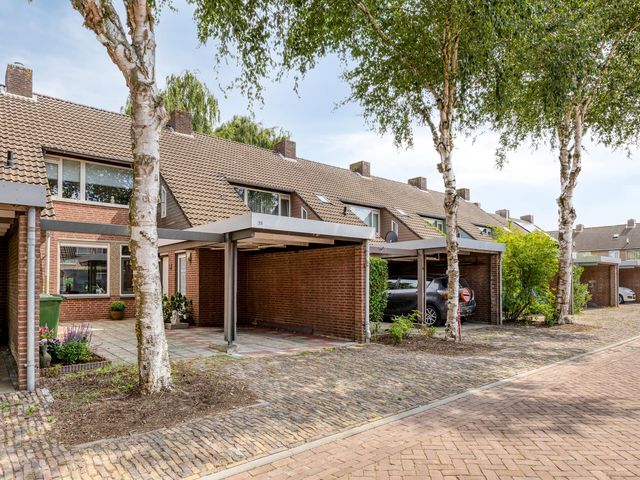 Doornbos 35, Rijen