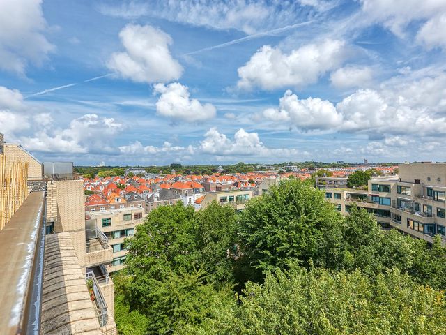 Burgemeester Patijnlaan 590, 's-Gravenhage