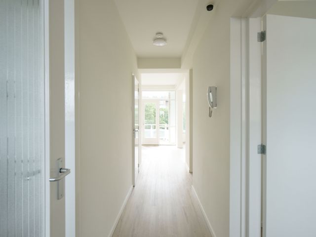 Groenendaal 137, Rotterdam