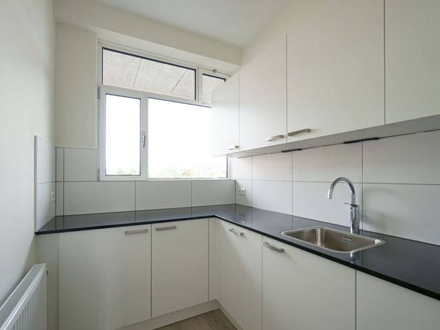 Groenendaal 137, Rotterdam